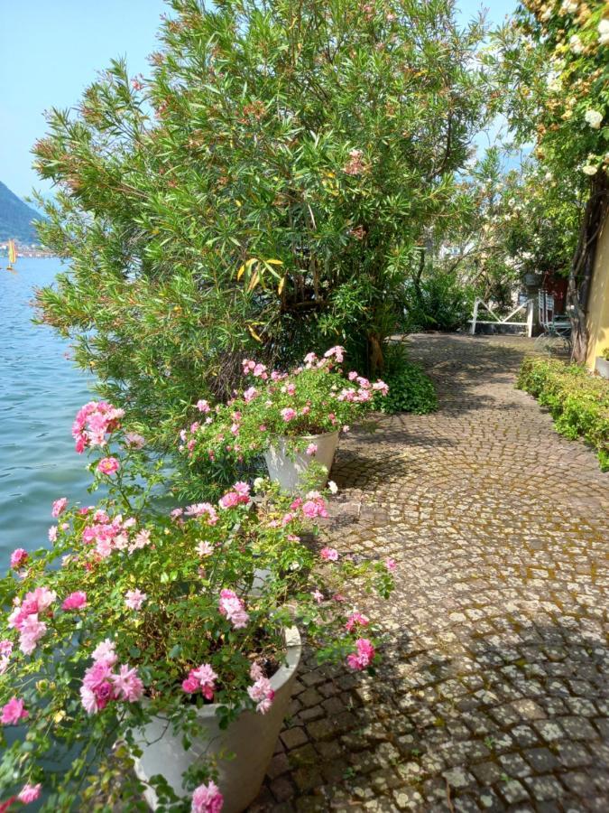 L'Oleandro Sul Lago D'Iseo B&B Sulzano Zewnętrze zdjęcie