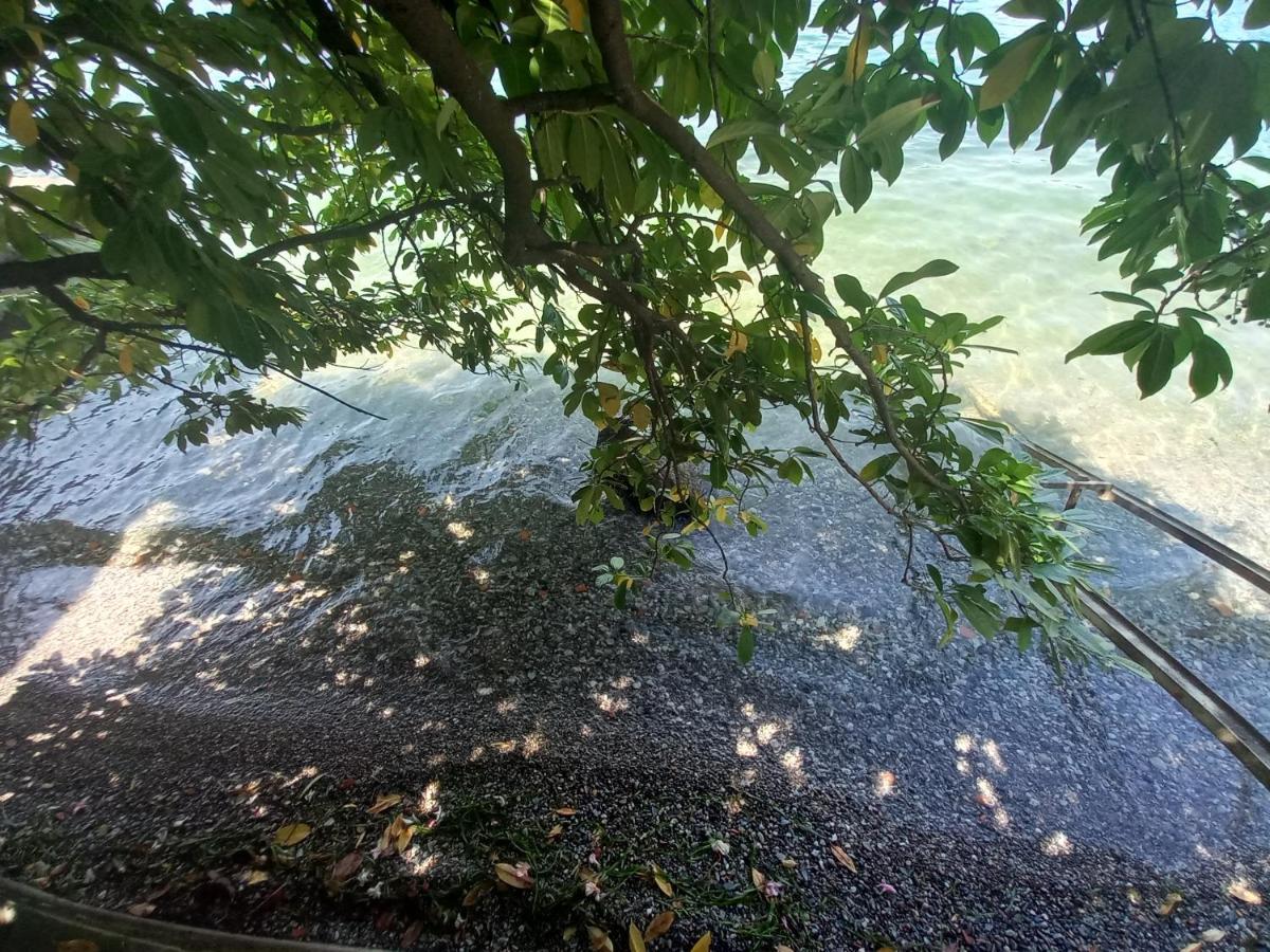 L'Oleandro Sul Lago D'Iseo B&B Sulzano Zewnętrze zdjęcie