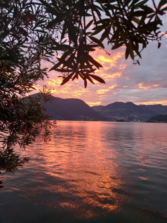 L'Oleandro Sul Lago D'Iseo B&B Sulzano Zewnętrze zdjęcie