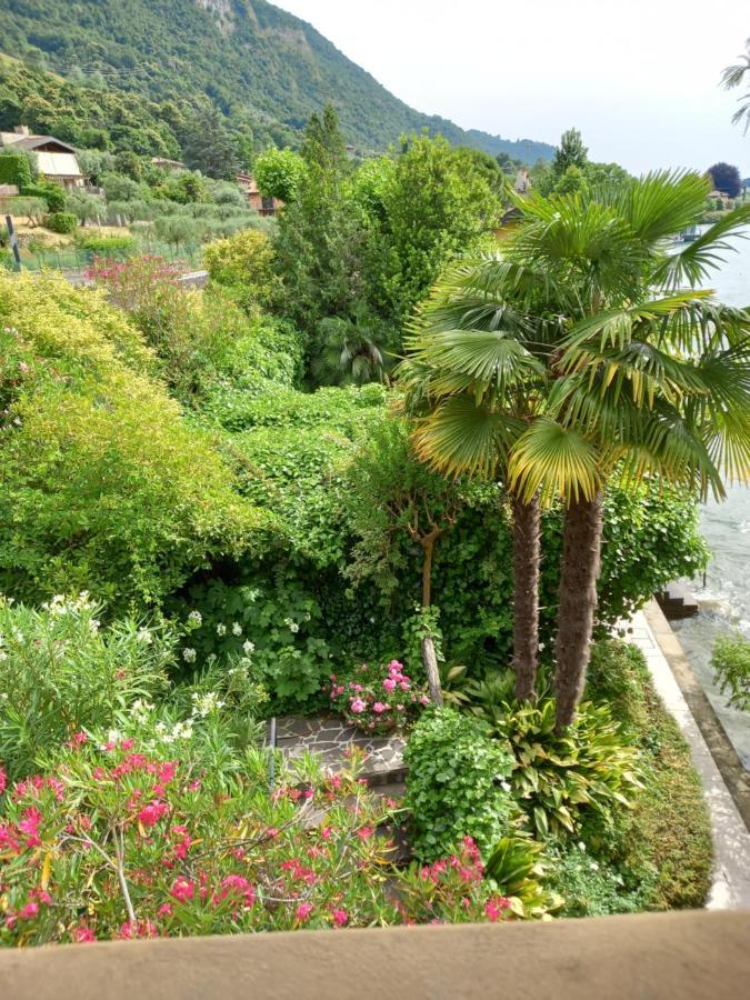 L'Oleandro Sul Lago D'Iseo B&B Sulzano Zewnętrze zdjęcie