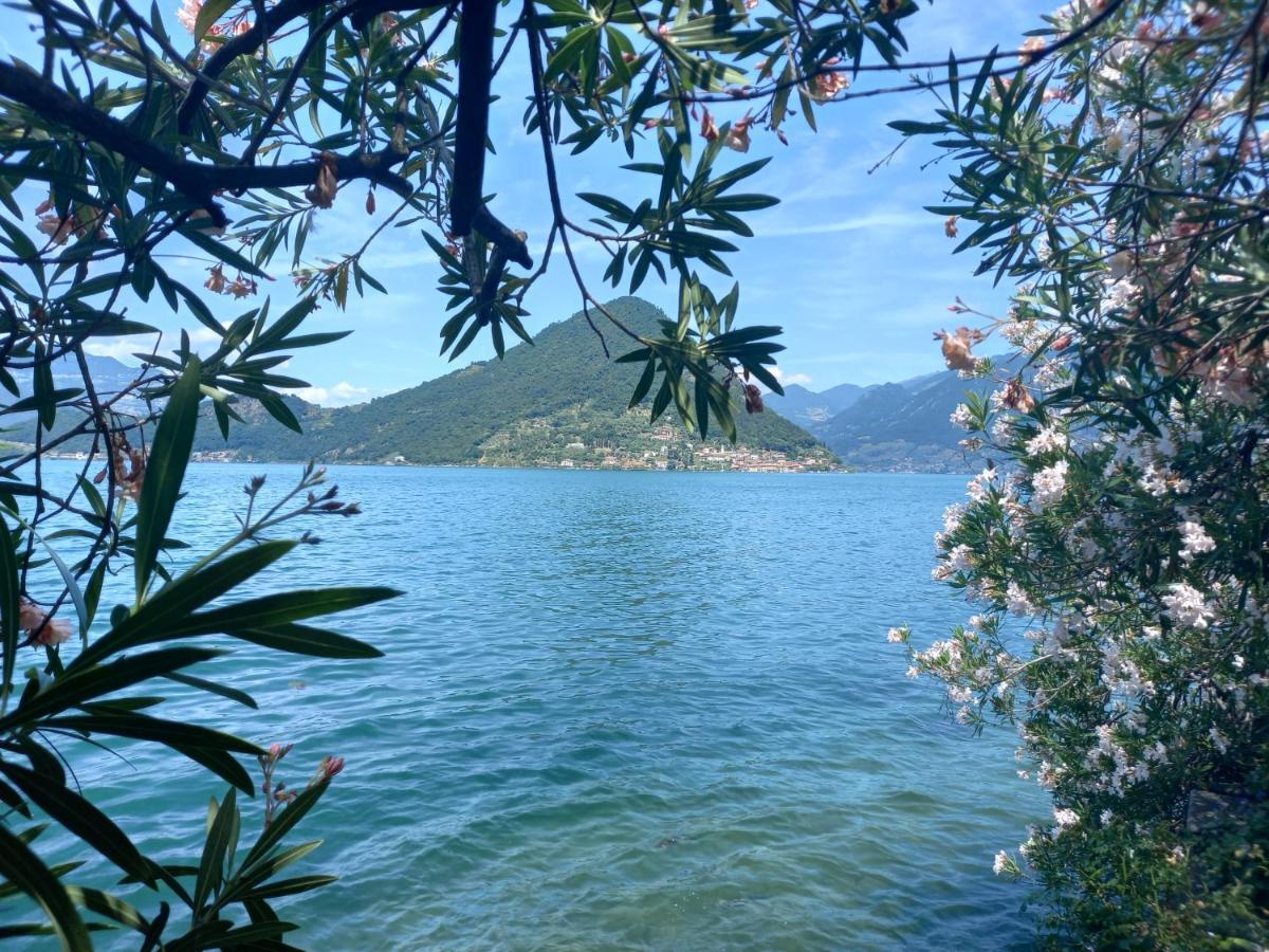 L'Oleandro Sul Lago D'Iseo B&B Sulzano Zewnętrze zdjęcie