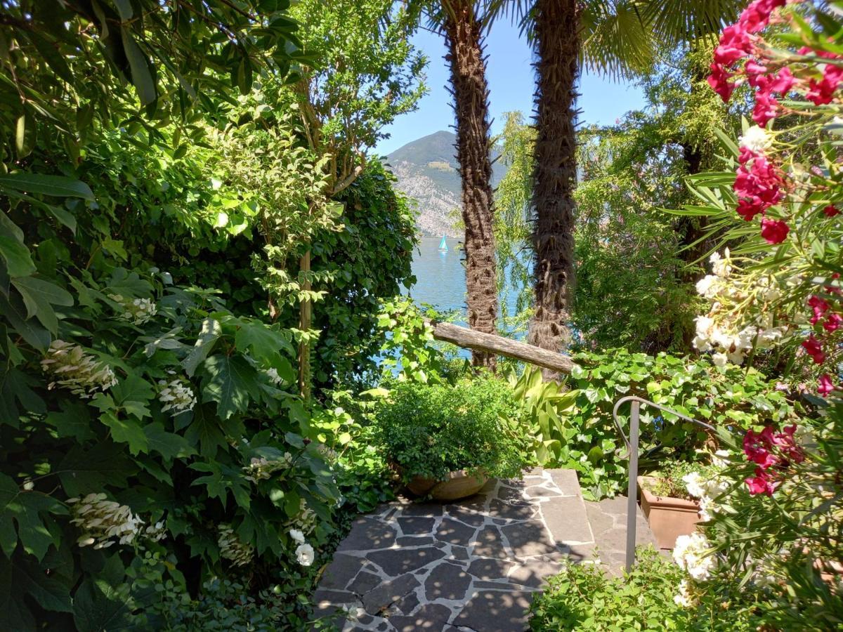 L'Oleandro Sul Lago D'Iseo B&B Sulzano Zewnętrze zdjęcie